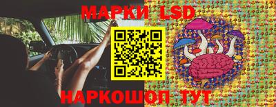 ПСИЛОЦИБИНОВЫЕ ГРИБЫ Новозыбков
