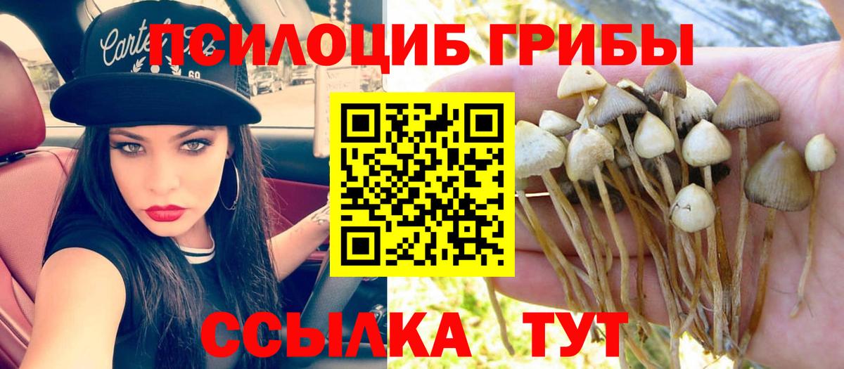 Галлюциногенные грибы прущие грибы  Вход с VPN  Холмск 